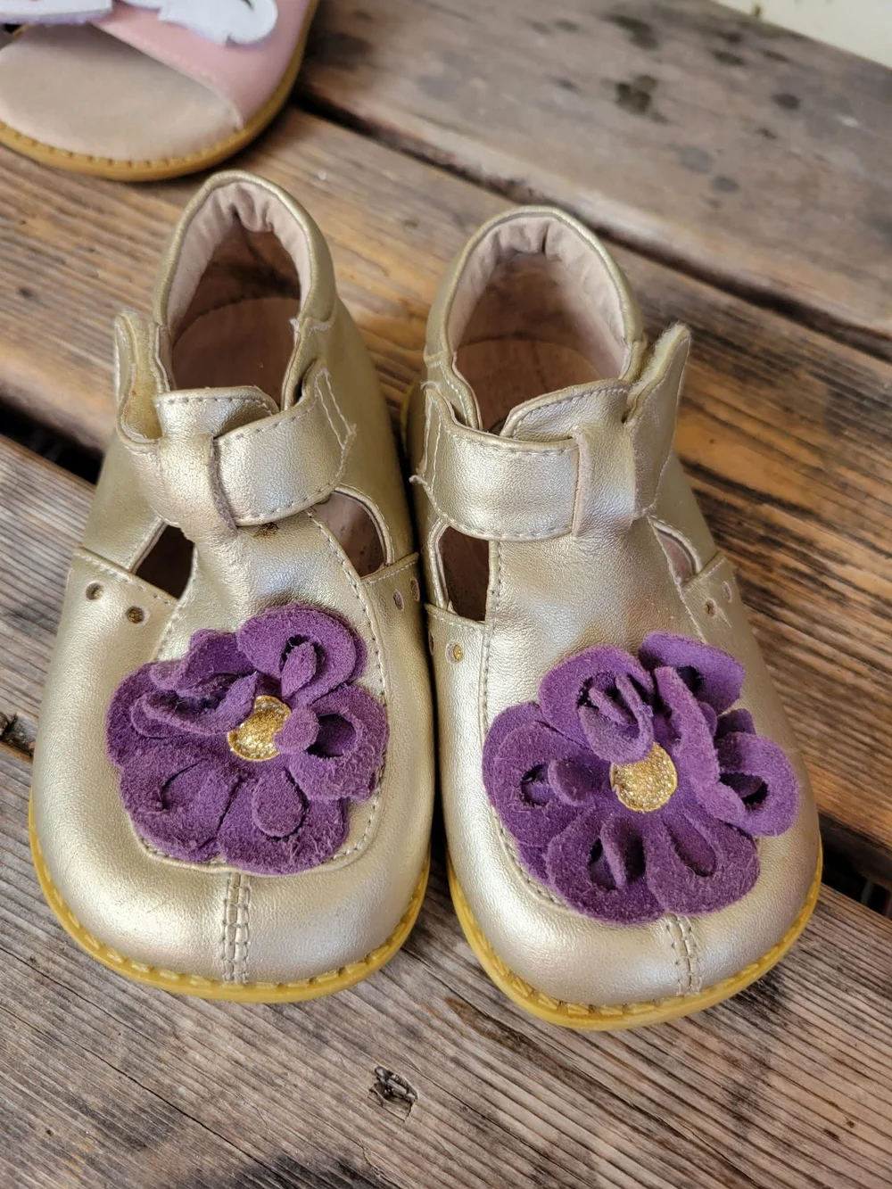 LIVIE & LUCA SZ 8C VGUC  shimmery GOLD leather w/ PURPLE 🌼 FLOWER velcro Shoes